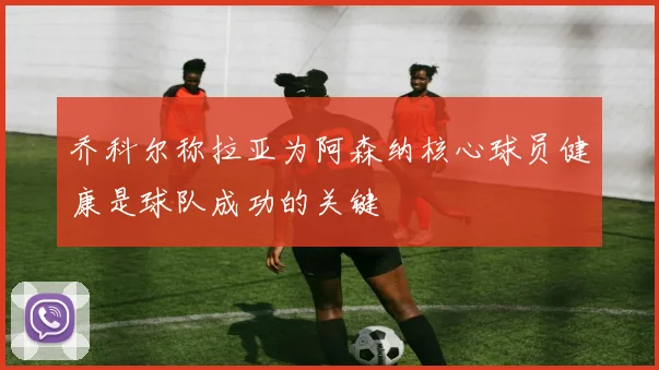 乔科尔称拉亚为阿森纳核心球员健康是球队成功的关键